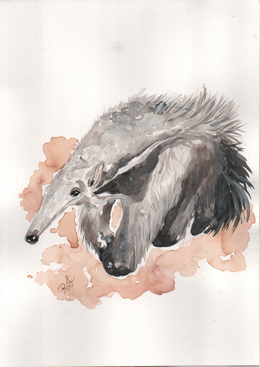 Quadro Tamanduá por Rayana Karoline