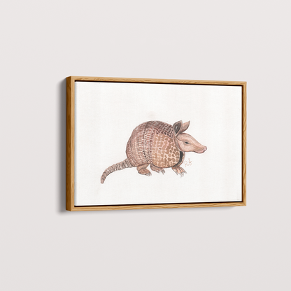 Quadro Tatu por Rayana Karoline