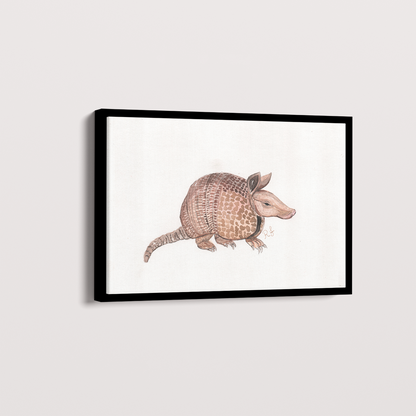 Quadro Tatu por Rayana Karoline