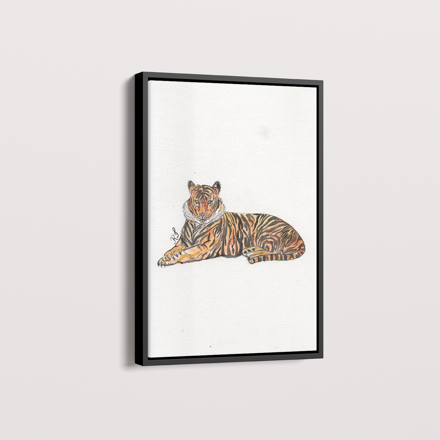 Tigre por aquarelando