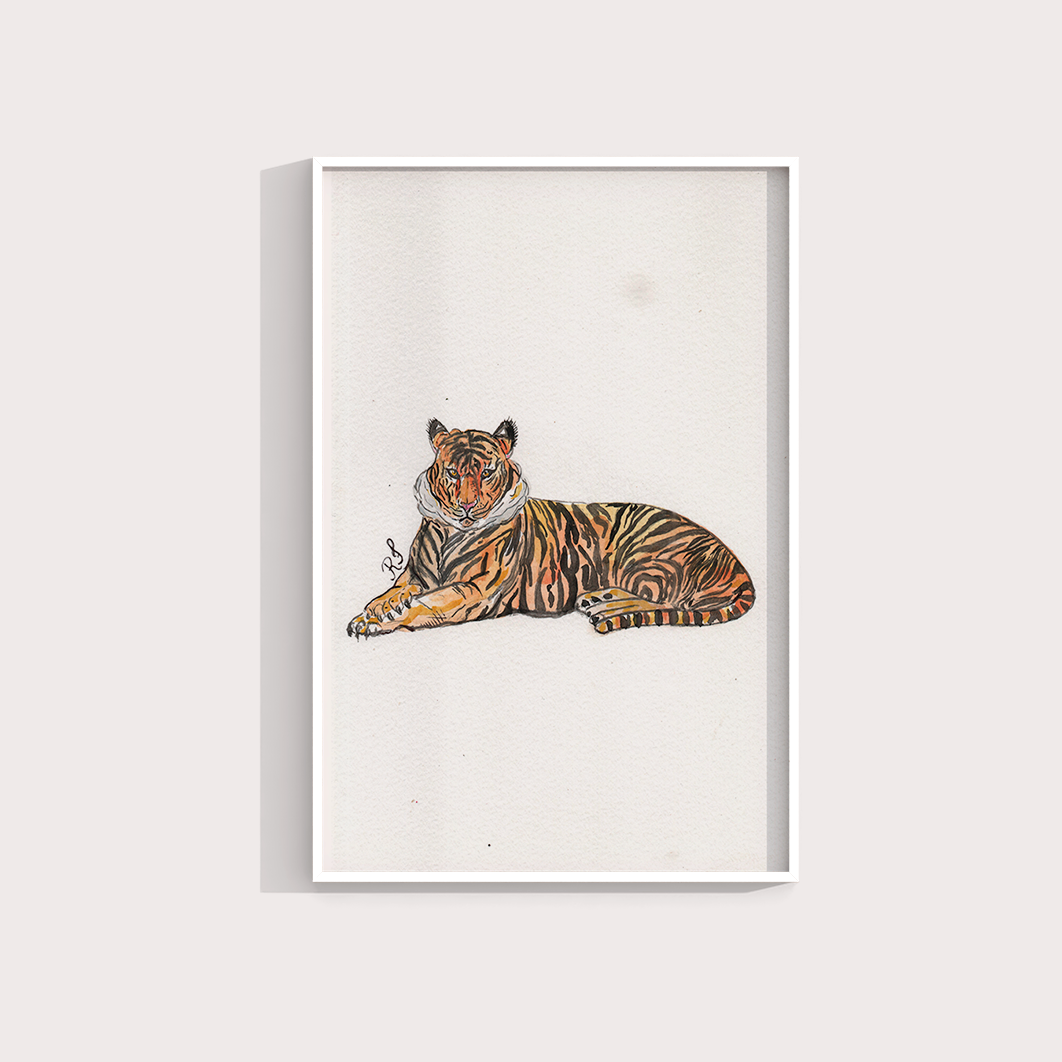 Tigre por aquarelando