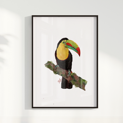 Quadro Tucano 2 por aquarelando