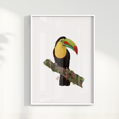 Quadro Tucano 2 por aquarelando