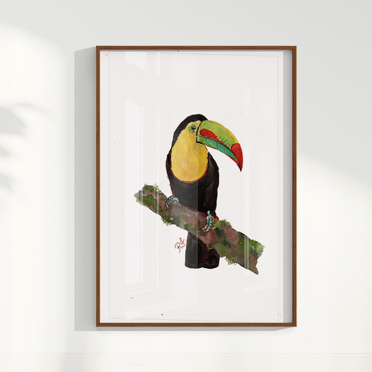 Quadro Tucano 2 por aquarelando