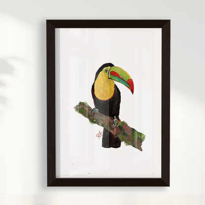 Quadro Tucano 2 por aquarelando