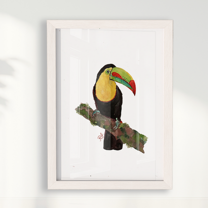 Quadro Tucano 2 por aquarelando