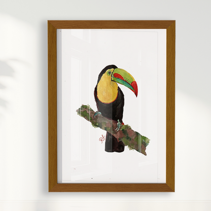 Quadro Tucano 2 por aquarelando