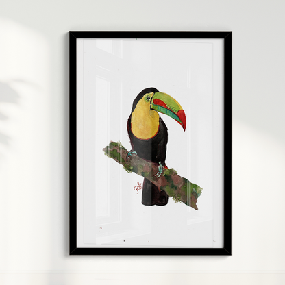 Quadro Tucano 2 por aquarelando