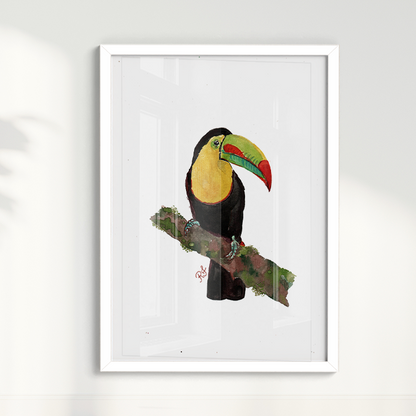 Quadro Tucano 2 por aquarelando