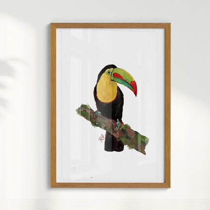 Quadro Tucano 2 por aquarelando