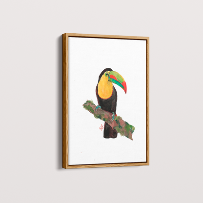 Quadro Tucano 2 por aquarelando
