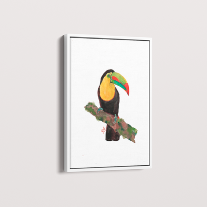 Quadro Tucano 2 por aquarelando