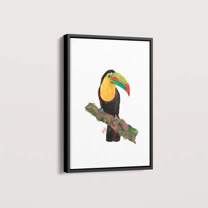 Quadro Tucano 2 por aquarelando