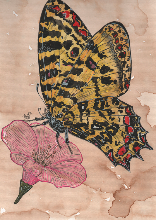Aquarelando 6 por Rayana Karoline - LARTESTUDIO