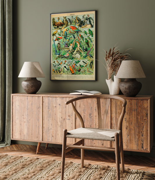 Quadro Oiseaux - Aves vintage 2