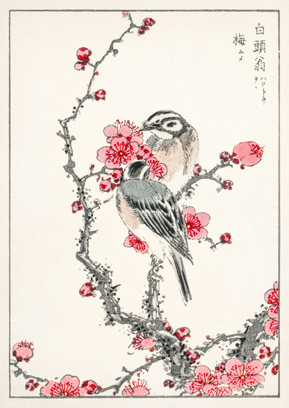 Birds (1885) por Numata Kashu