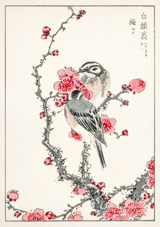 Birds (1885) por Numata Kashu