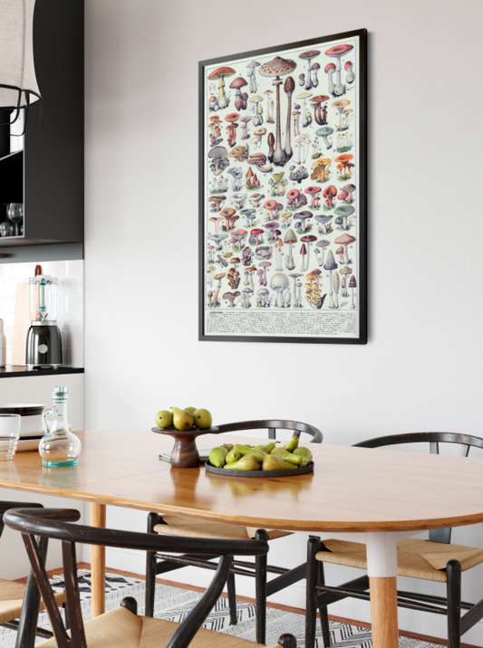 Quadro Vintage Cogumelos - LARTESTUDIO