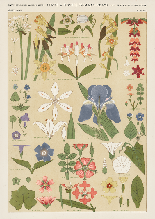 Quadro flowers - LARTESTUDIO