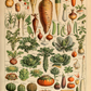 Quadro Vegetables - LARTESTUDIO