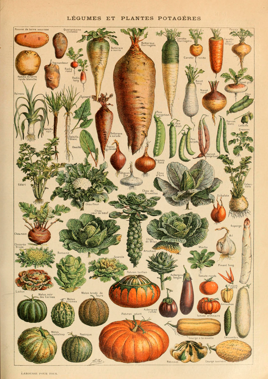 Quadro Vegetables - LARTESTUDIO