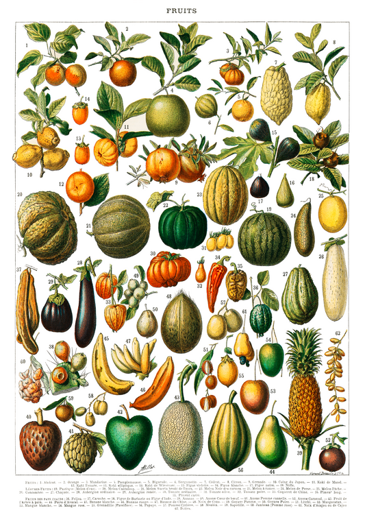 Quadro Fruits White - LARTESTUDIO