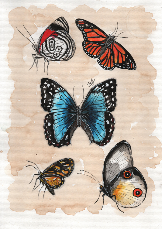 Aquarelando 13 por Rayana Karoline - LARTESTUDIO