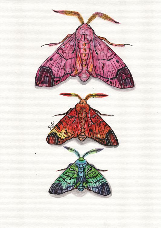 Aquarelando 14 por Rayana Karoline - LARTESTUDIO
