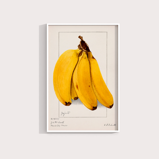Banana Vintage - LARTESTUDIO