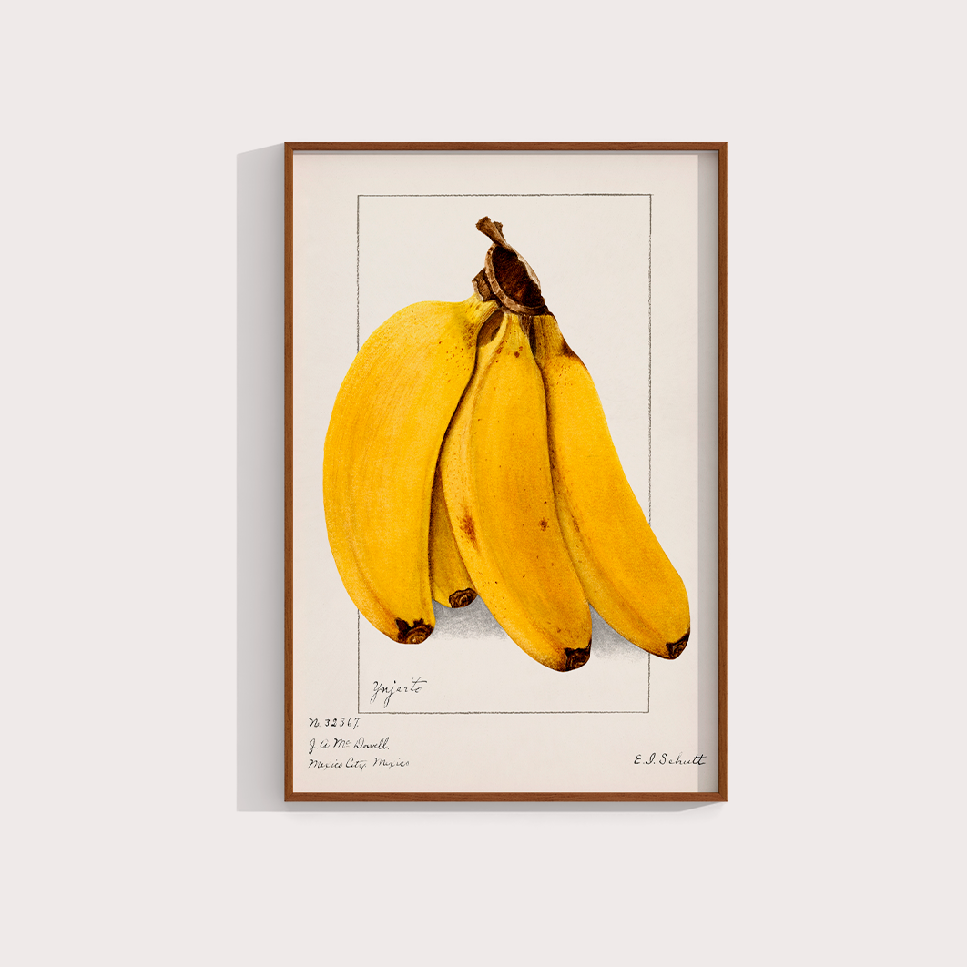Banana Vintage - LARTESTUDIO