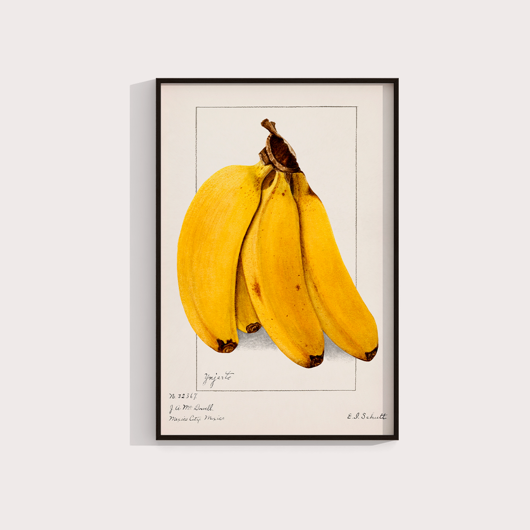 Banana Vintage - LARTESTUDIO