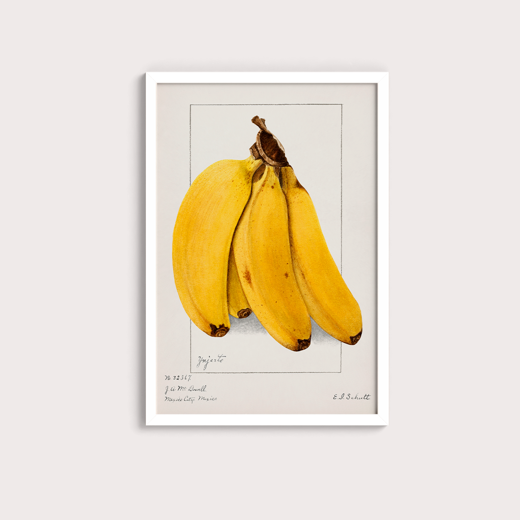 Banana Vintage - LARTESTUDIO