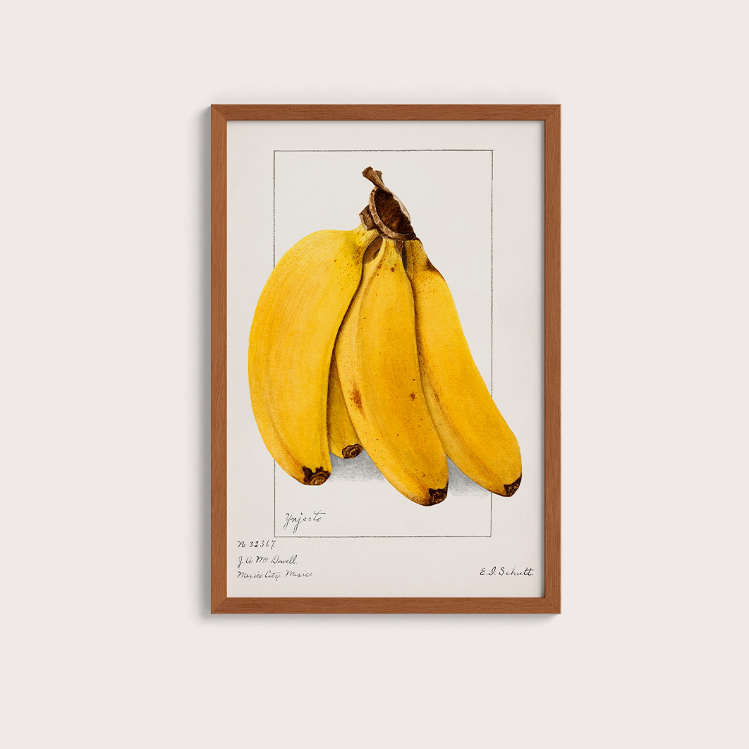 Banana Vintage - LARTESTUDIO