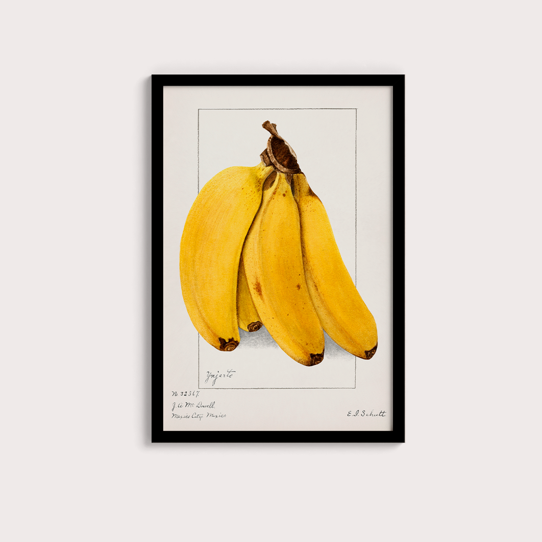 Banana Vintage - LARTESTUDIO