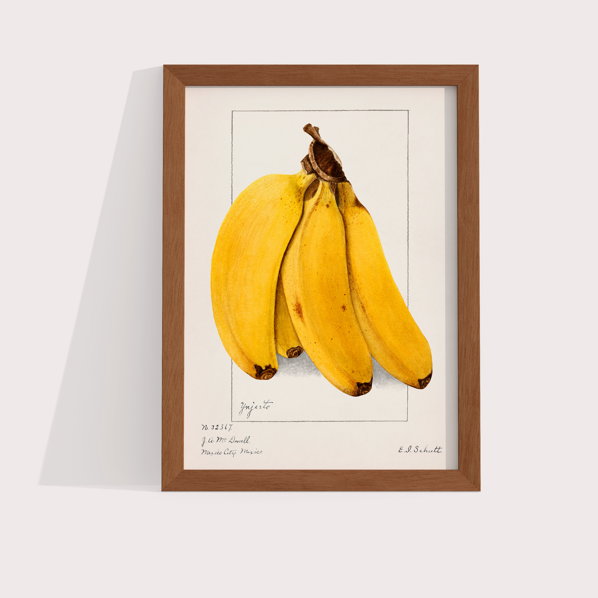 Banana Vintage - LARTESTUDIO