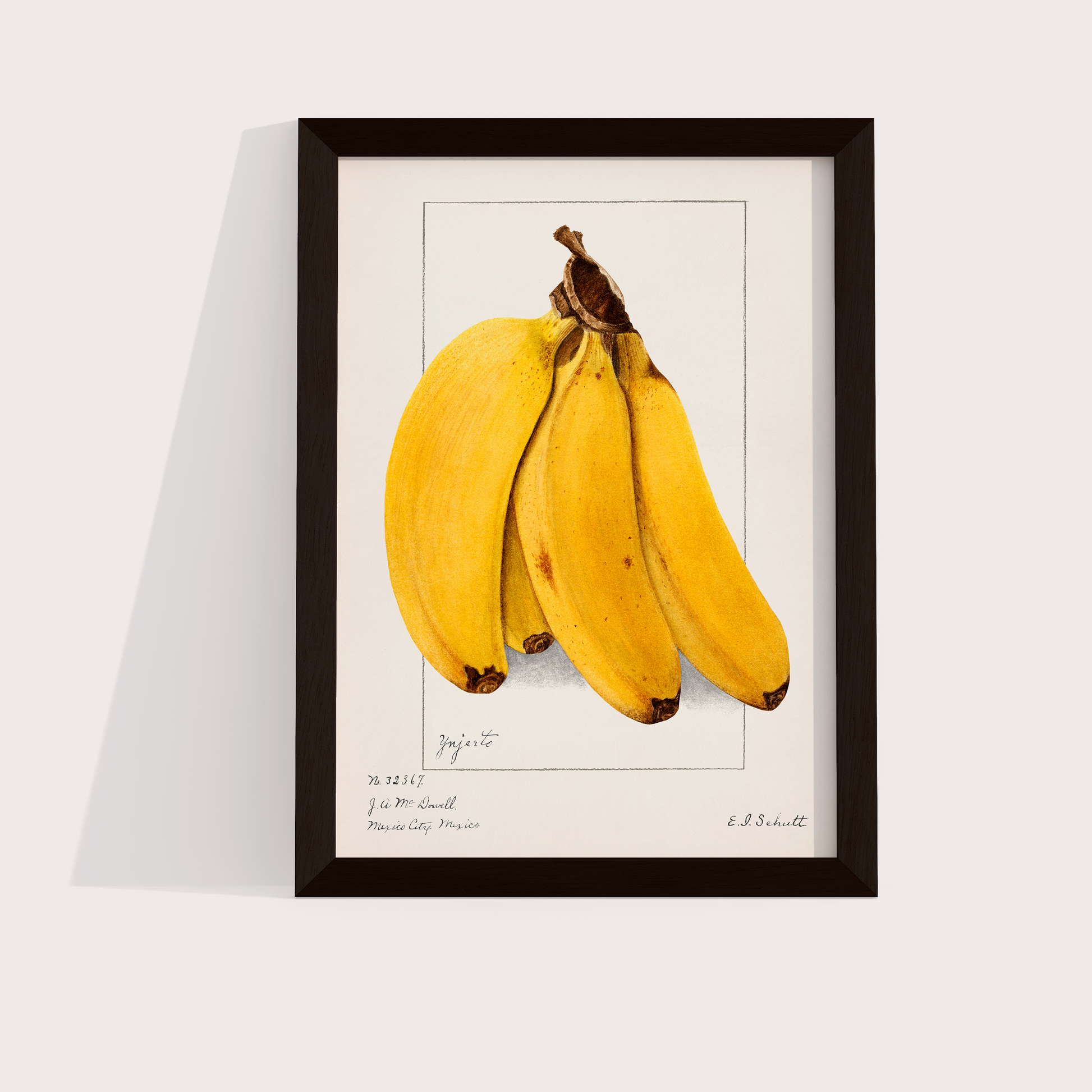 Banana Vintage - LARTESTUDIO