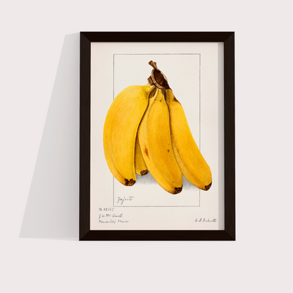 Banana Vintage - LARTESTUDIO