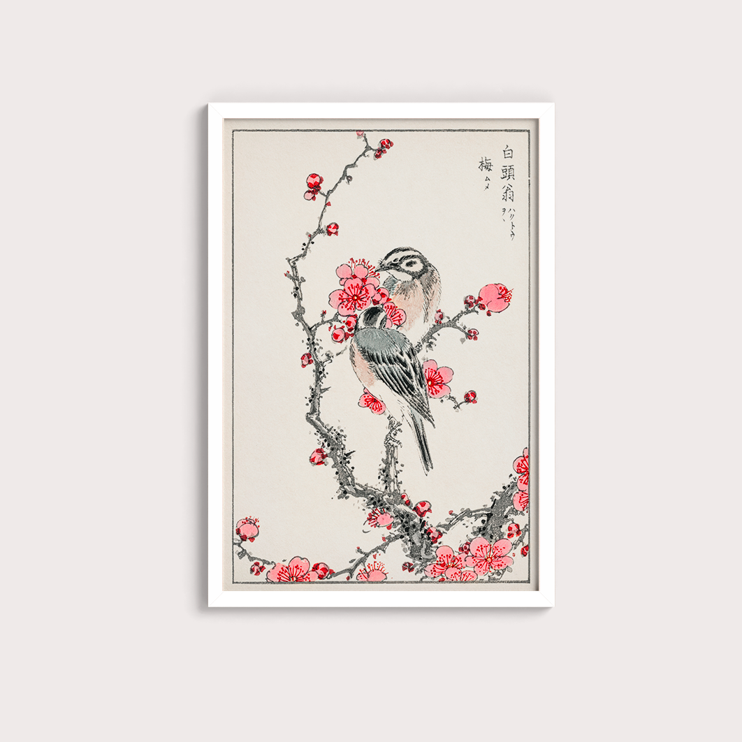 Birds (1885) por Numata Kashu