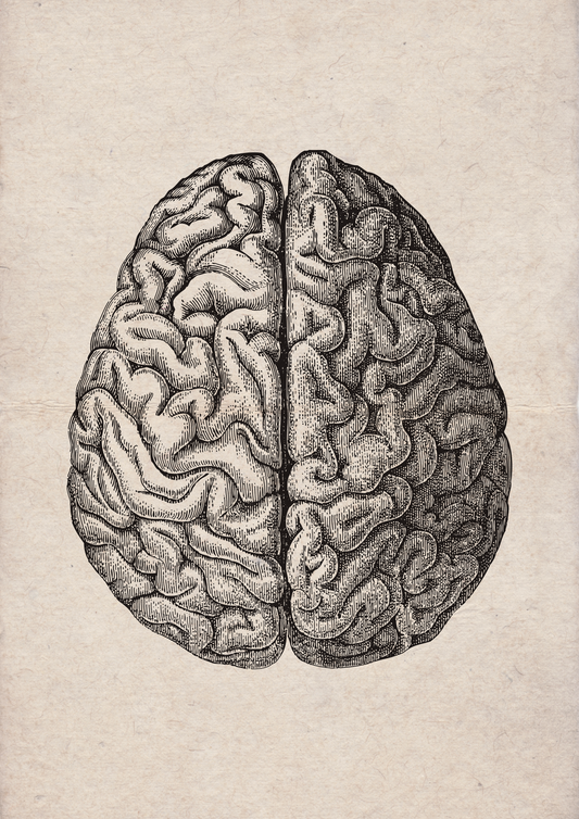 Brain Vintage - LARTESTUDIO