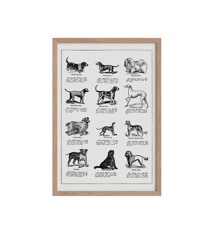 Vintage Dogs - LARTESTUDIO