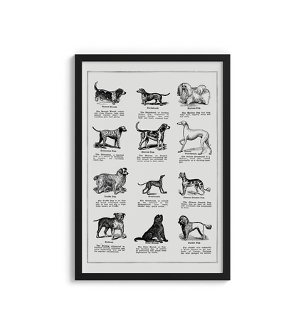 Vintage Dogs - LARTESTUDIO