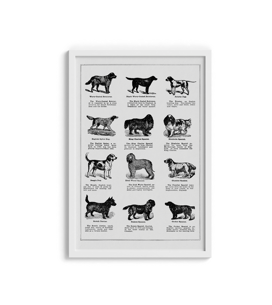 Vintage Dogs II - LARTESTUDIO