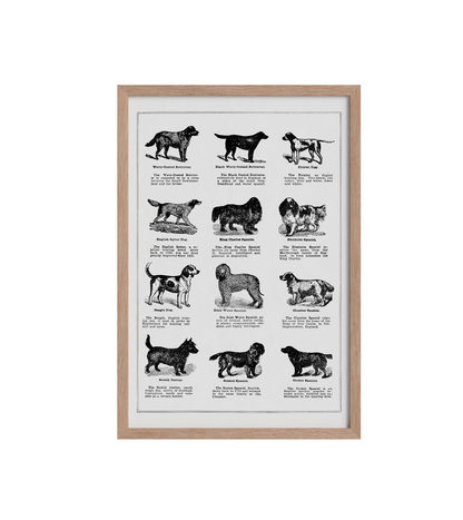 Vintage Dogs II - LARTESTUDIO