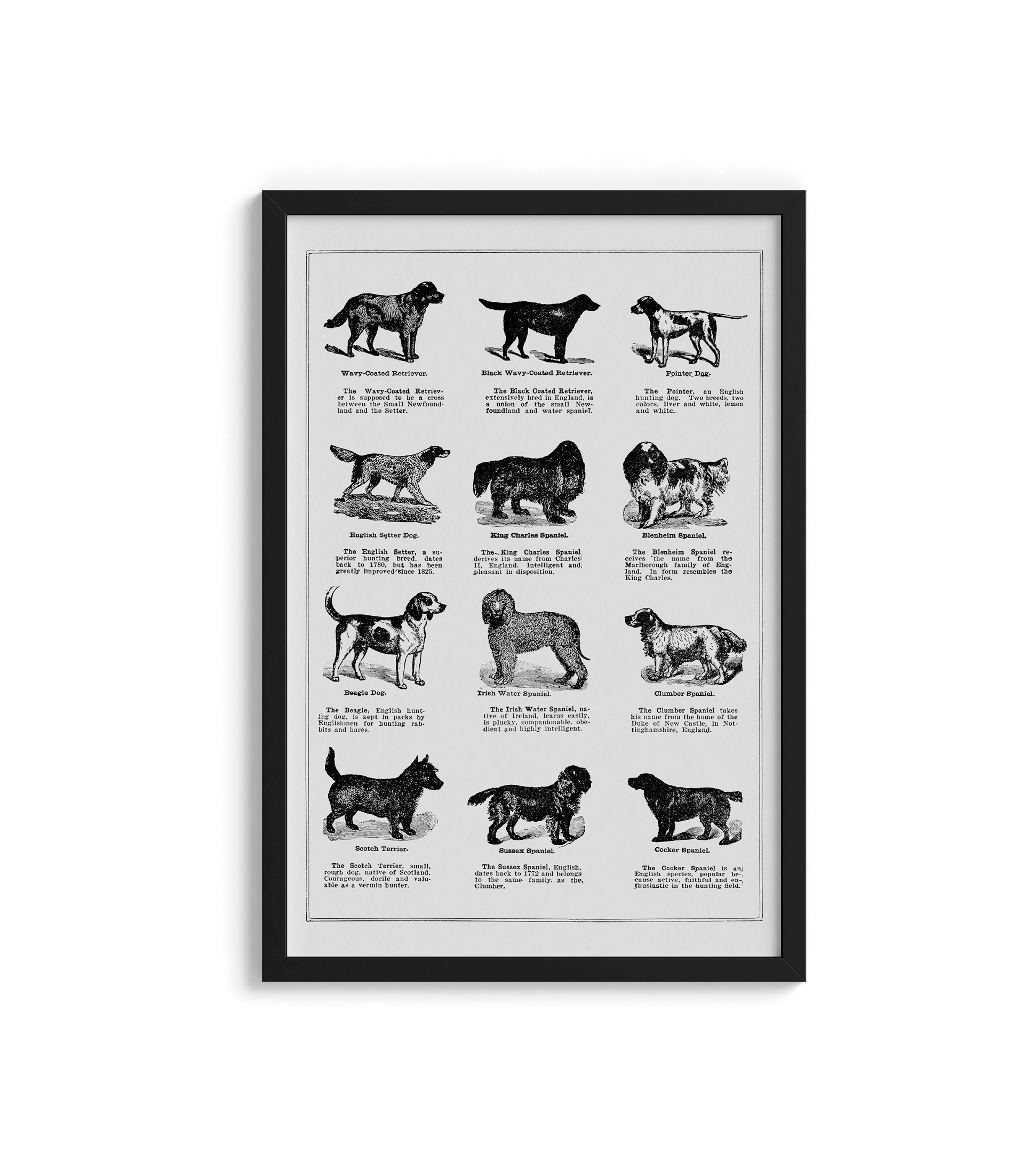 Vintage Dogs II - LARTESTUDIO