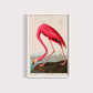 Flamingo Vintage