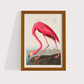 Flamingo Vintage