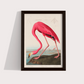 Flamingo Vintage