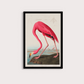 Flamingo Vintage