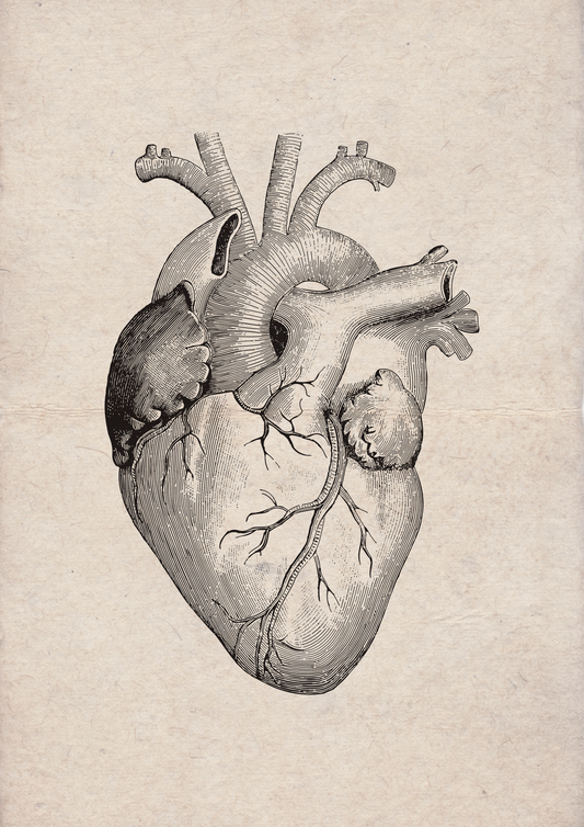 Heart Vintage - LARTESTUDIO