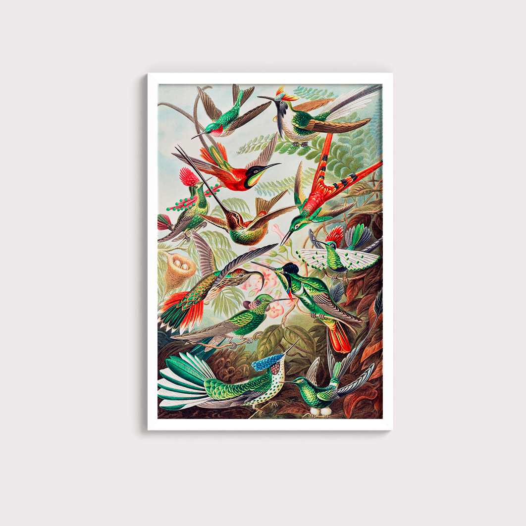 Magical Birds - LARTESTUDIO